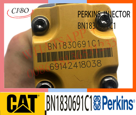 injetor de combustível BN1830691C1 de 593597C91 128-6601 para o motor diesel de Caterpillar para Perkins Engine 1300 séries